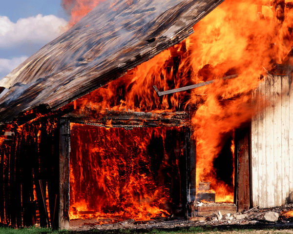 10 Tips To Make Your Barn Safer promo image