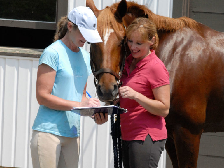 5 Tips for Successful Stable Marketing promo image