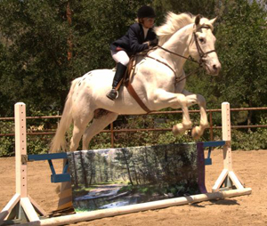 A Banner Horse promo image