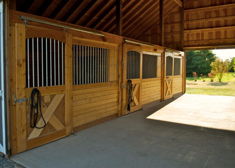 Adding Hot Water to Your Horse Barn promo image
