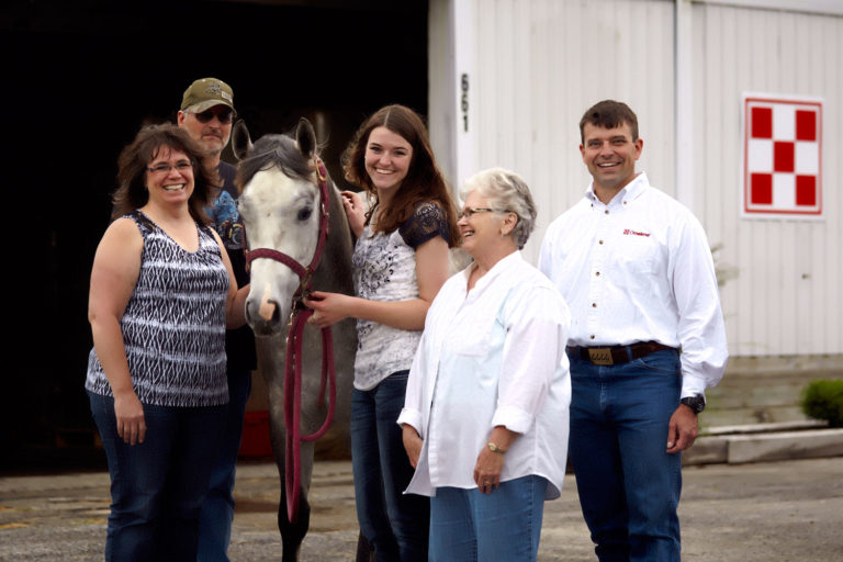 Adopted Horses: A Second Chapter promo image