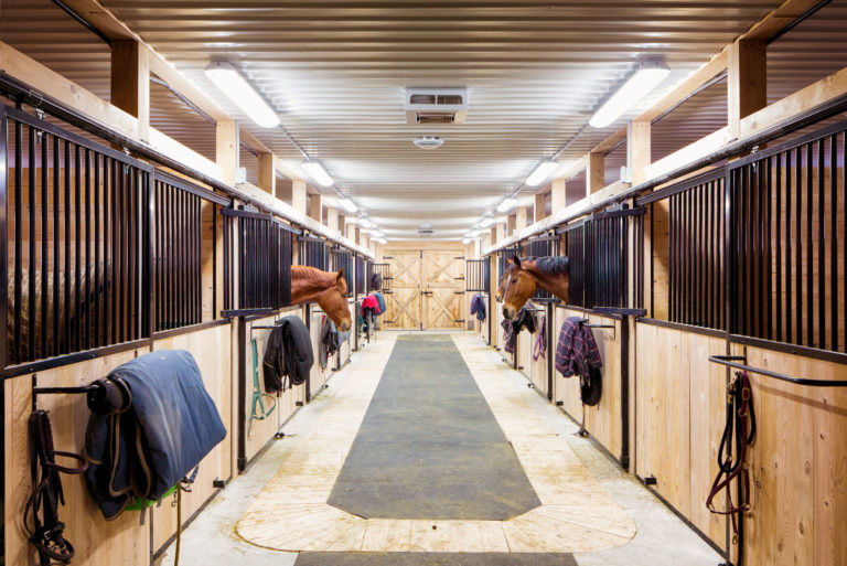aisle horse barn