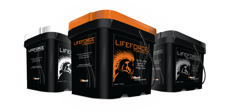 Alltech’s LIFEFORCE Range Hits Its Stride in the Equine Market promo image