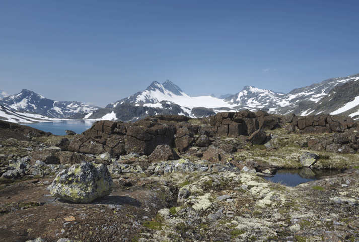 Ancient Horse, Horse Shoes, and Manure Discovered In Melting Glacial Ice promo image