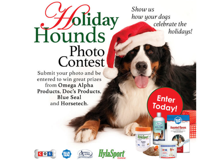 Announcing The EQUUS Magazine 2015 Holiday Hounds Photo Contest promo image