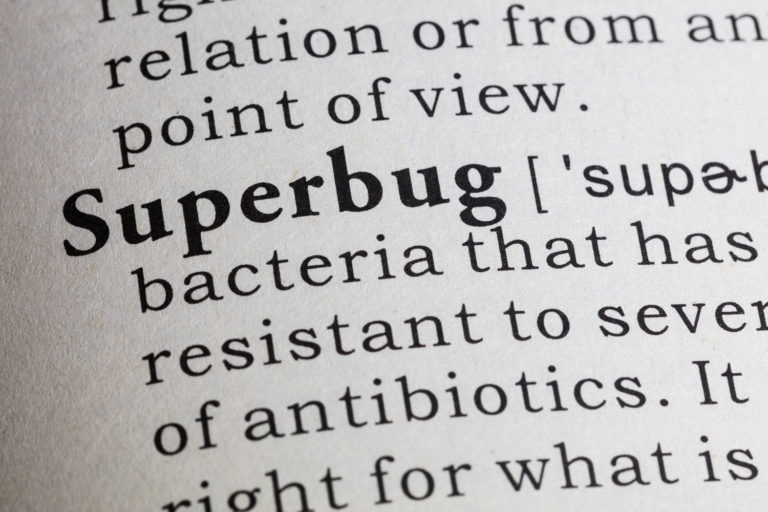 Antibiotics: Proper Use in Horses promo image