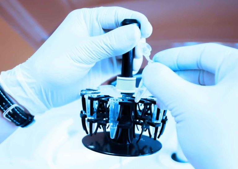 Antigens and Why They Are Important in Equine Vaccines promo image