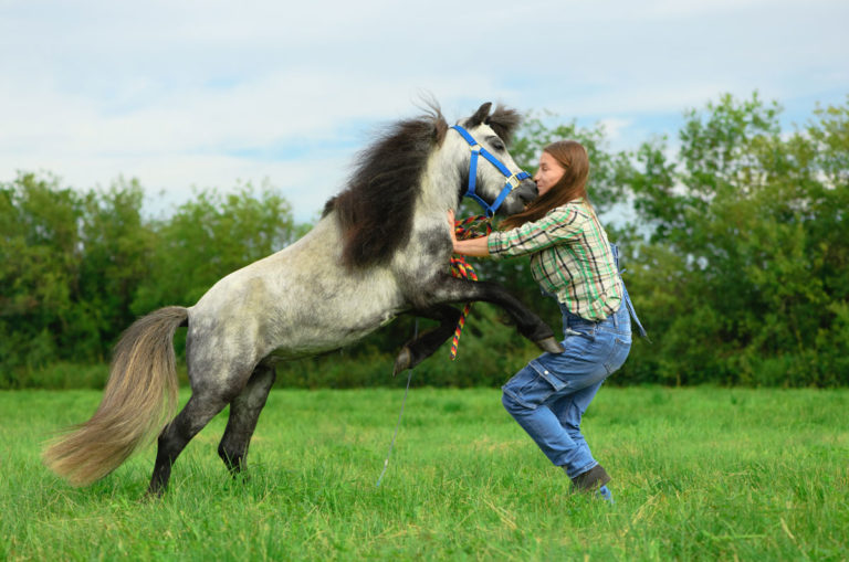 attack-angry-horse-female-trainer-Stock-Irina-Orlova-1310431762-1200