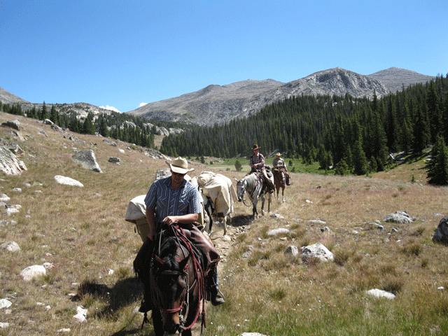 Back Country Horsemen of America’s 2012 Volunteer Value is the Highest in its History promo image