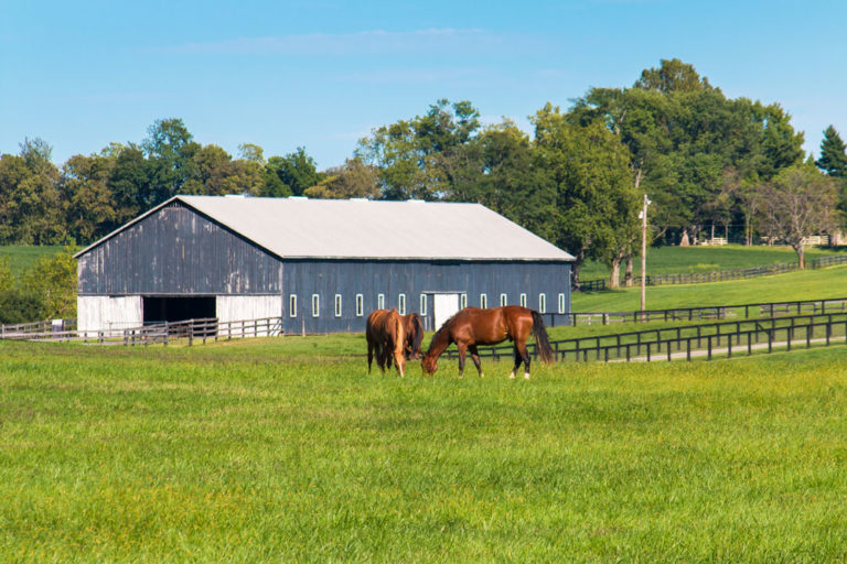 barn-background-horse-field-iStock-522361373-1000
