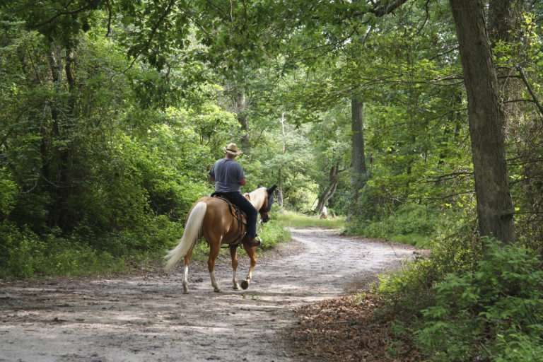 Basic Equestrian Trail Riding Etiquette promo image