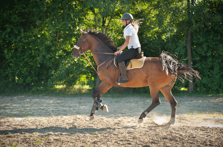 Basics of Hosting an Intercollegiate Riding Team promo image