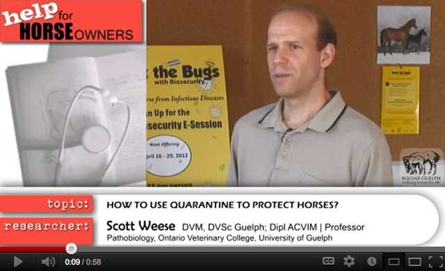 Biosecurity — How to Use Quarantine to Protect Horses? promo image