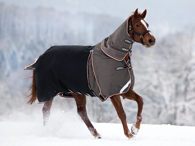 Blanketing for Winter: Who, What, Where, When and Why promo image