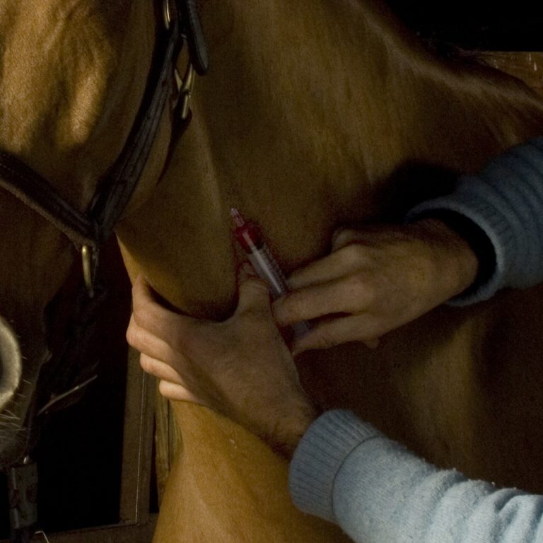 Blood Tests For Life promo image