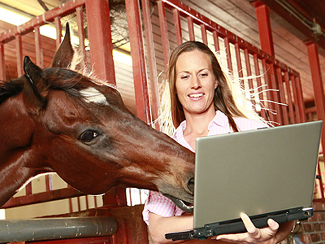 Boosting Business With Social Media promo image