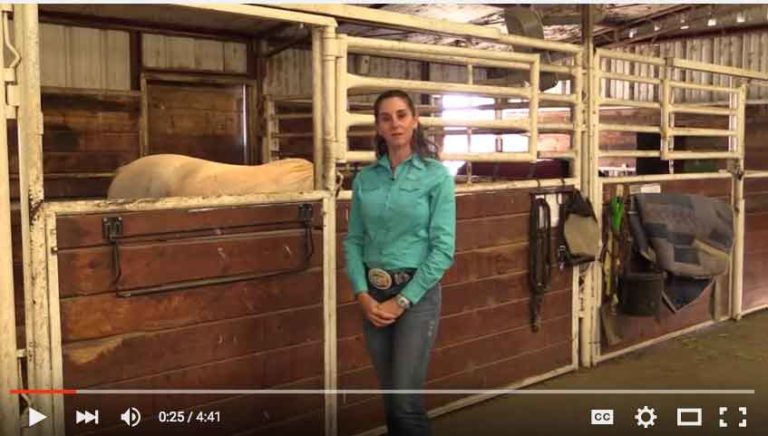 CHA Offers Equine Safety Videos promo image