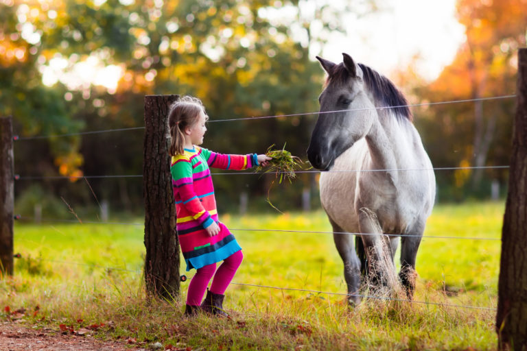 child-girl-feeding-horse-through-wire-fence-iStock-616125818-2400