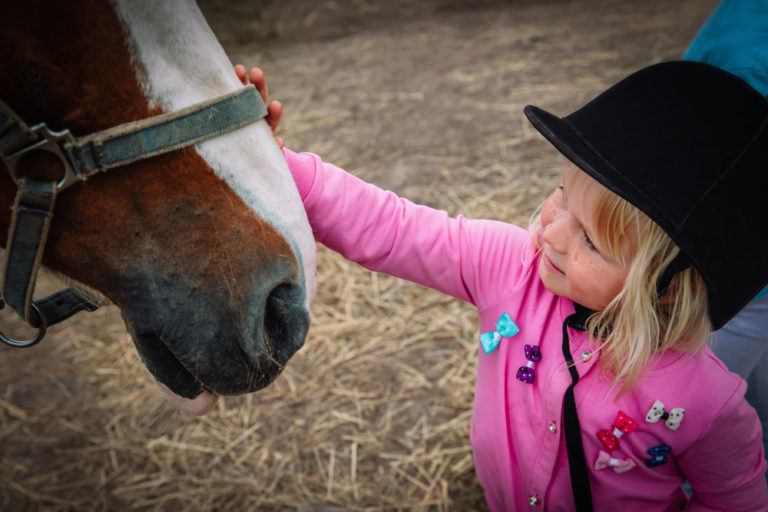 child-horse-closeup-equine-assisted-therapy-iStock-Human-Age-1288574265-1000