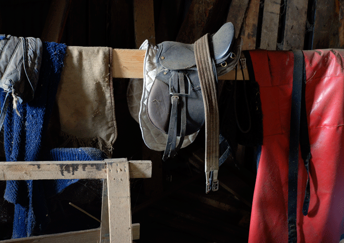 Clean Out Your Barn and Have a Sale promo image