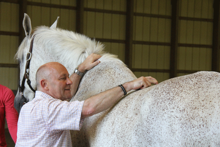 Continuing Education Seminar for Amerigo Dealers, Agents promo image