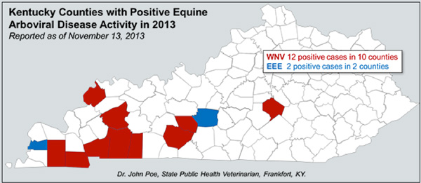 Courtesy Equine Disease Quarterly