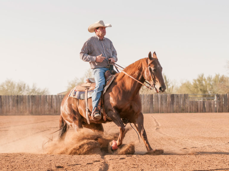 cowboy-horse-arena-iStock-Lokibaho-181131748-2400