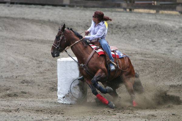 CSU Veterinarians Offer Advice on Avoiding infection While Traveling With Horses promo image