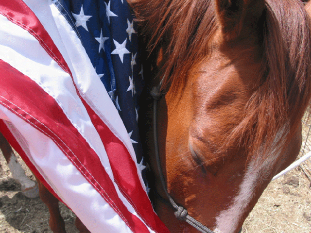 Despite Sizzling Summer Heat, Horses4Heroes Programs are Cool promo image