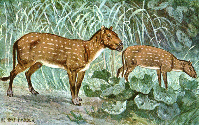 DNA Research on Horse Fossil Reveals Startling Facts promo image