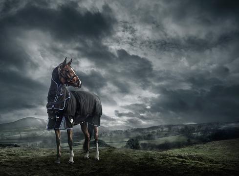 Do you want your horse to have the best in blanket technology? promo image
