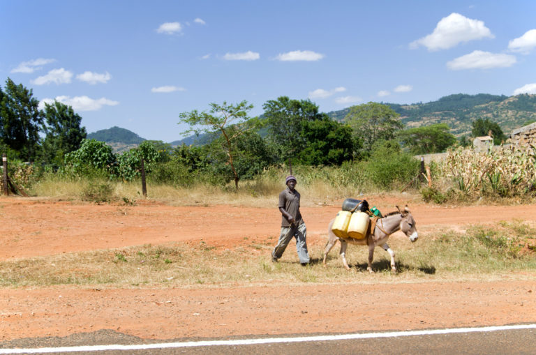 donkey-hauling-water-Kenya-iStock-credit-Simply-Creative-Photography-458617581-2400