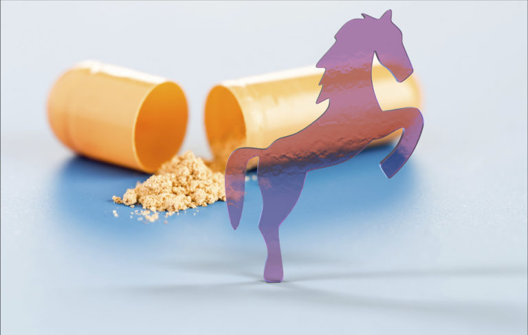 Drugs and Your Horse The Dangers of Medicating promo image