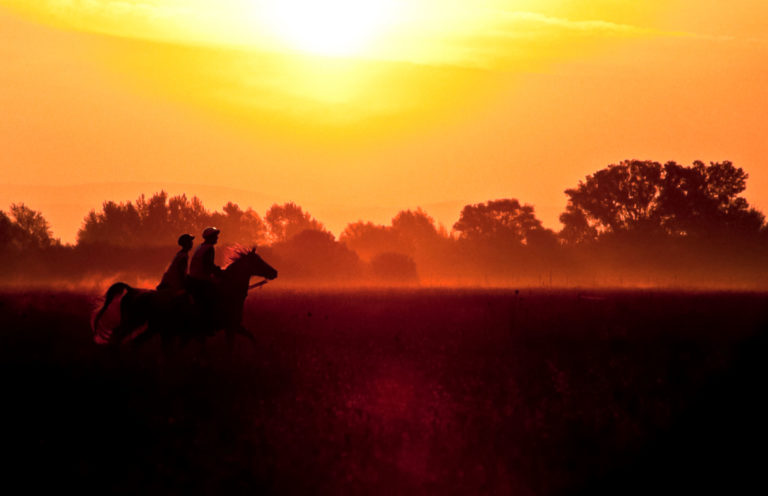 endurance-horses-sunrise-iStock-credit-ambaradan-174923110-2400
