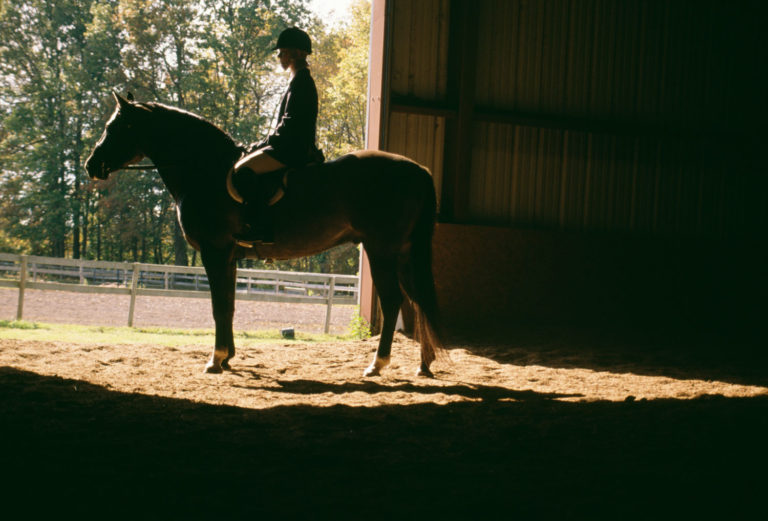 Equestrian Arena Options: Traditional Buildings promo image