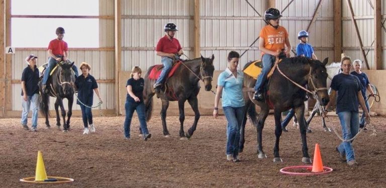 equine assisted therapy Horizon