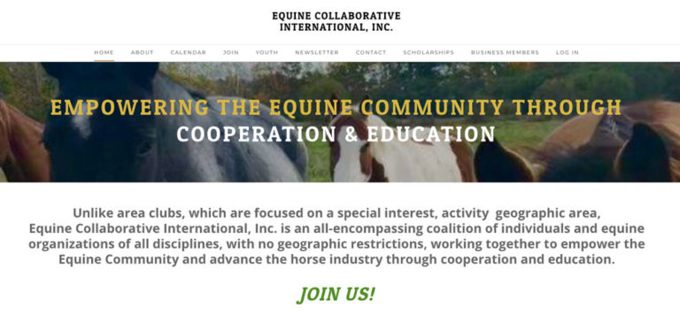 Equine-Collaborative-International-screen-capture-1000