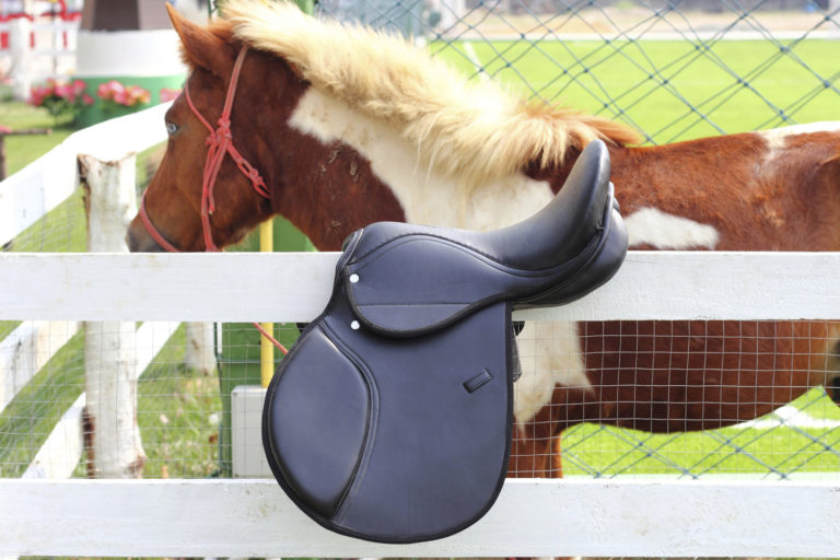Equine Tack Maintenance: Reconditioning Dry Leather promo image