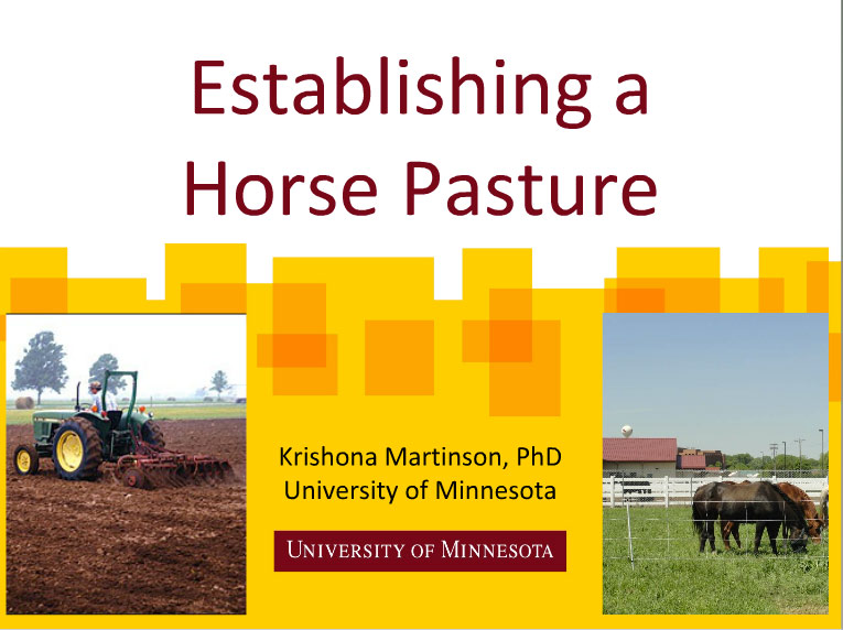 Establishing a Horse Pasture promo image