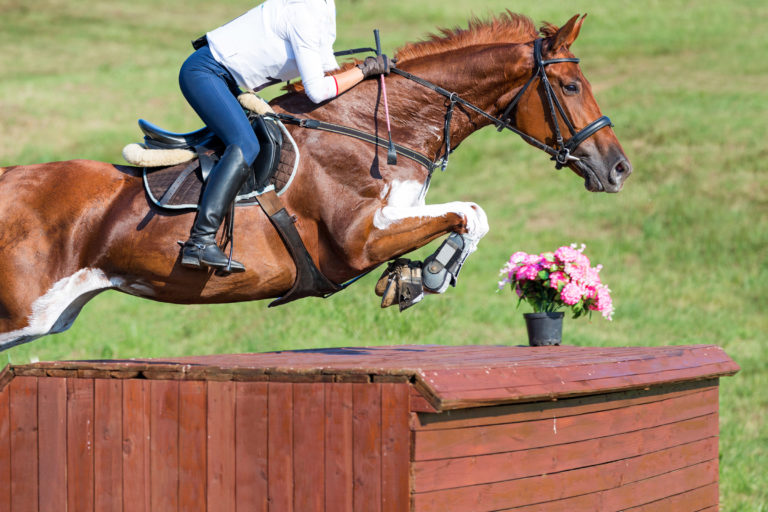 eventing-cross-country-jump-iStock-641170082-2400