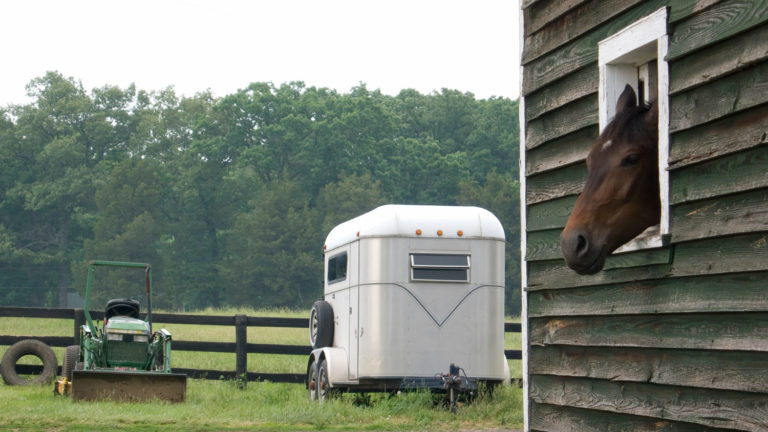 Finding the Right Trailer for Your Horse promo image