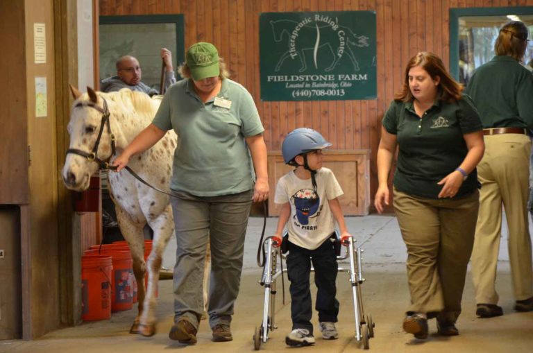 Finding Volunteers for Your Equine-Assisted Activies and Therapies Program promo image