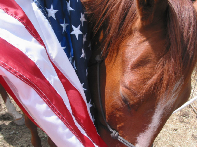 flag-horse-head-iStock-Karen-Parker-95837635-1200