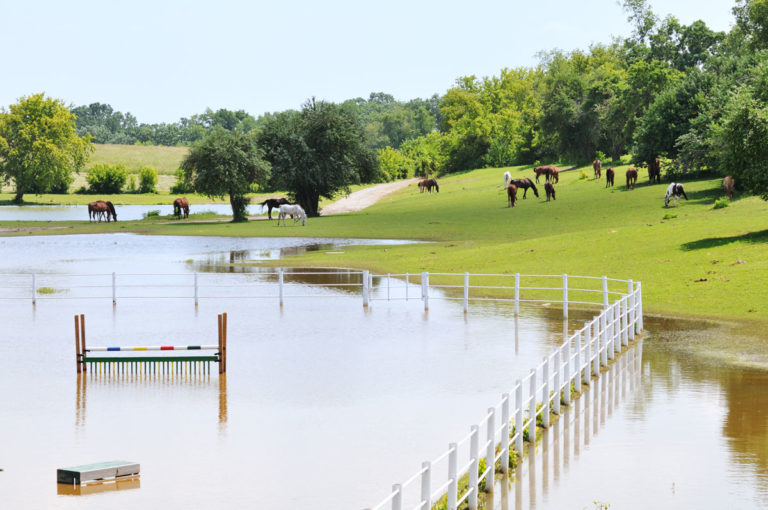 flooded-pasture-arena-horses-on-hills-iStock-Steverts-500487929-1200