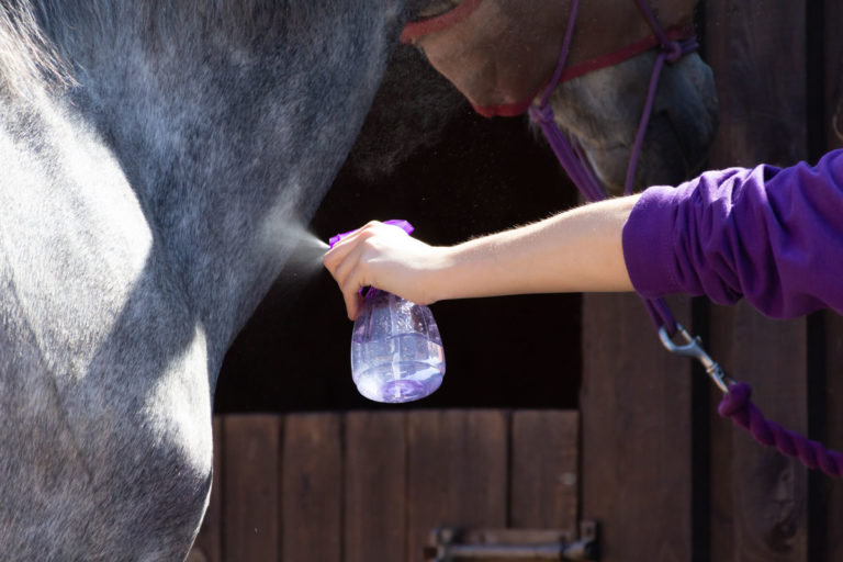 fly-spray-horse-closeup-shoulder-GettyImages-1308913530-1200