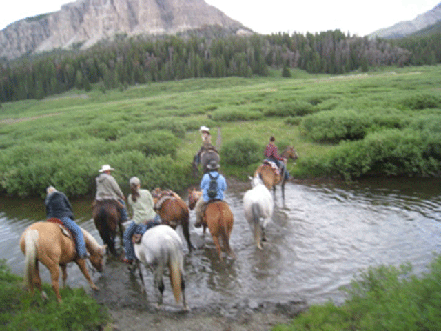 Free Webinar: The New Coalition Supporting the Horse Industry promo image