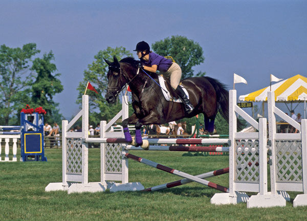 From the Ground Up; 10 Years of Exploring Equine Competition Surfaces promo image
