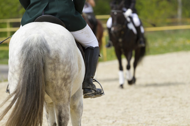 Generating Additional Revenue With Your Dressage Facility promo image