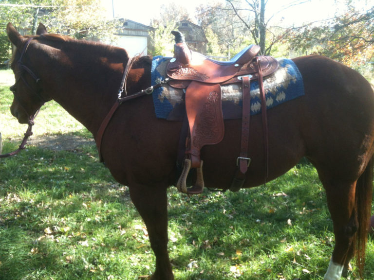 Generating Additional Revenue With Your Trail Riding Facility promo image