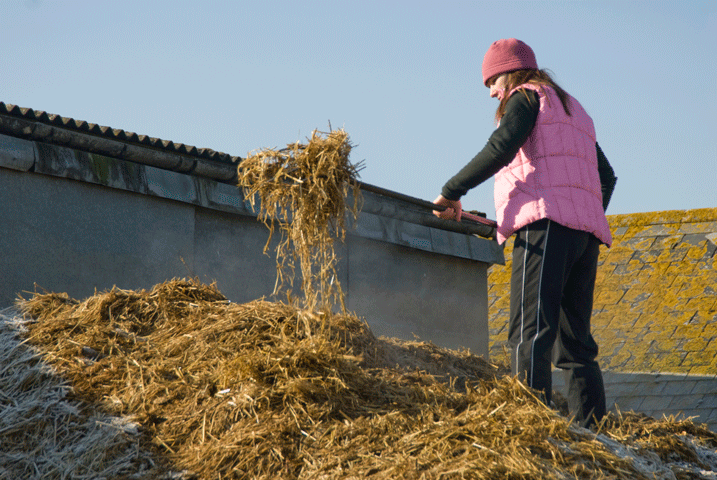 Getting the Best Out of Your Barn Staff promo image